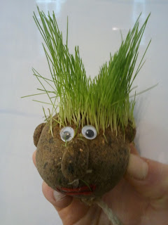 Turf Management best ts websites Turf Management best ts websites